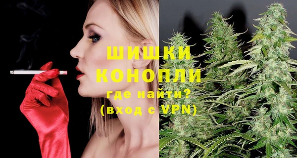 spice Вяземский