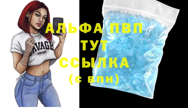 spice Вяземский