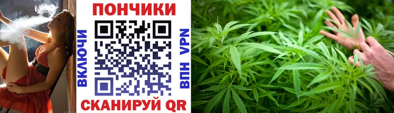 Бошки марихуана MAZAR  kraken маркетплейс  Ленинск  что такое наркотик 